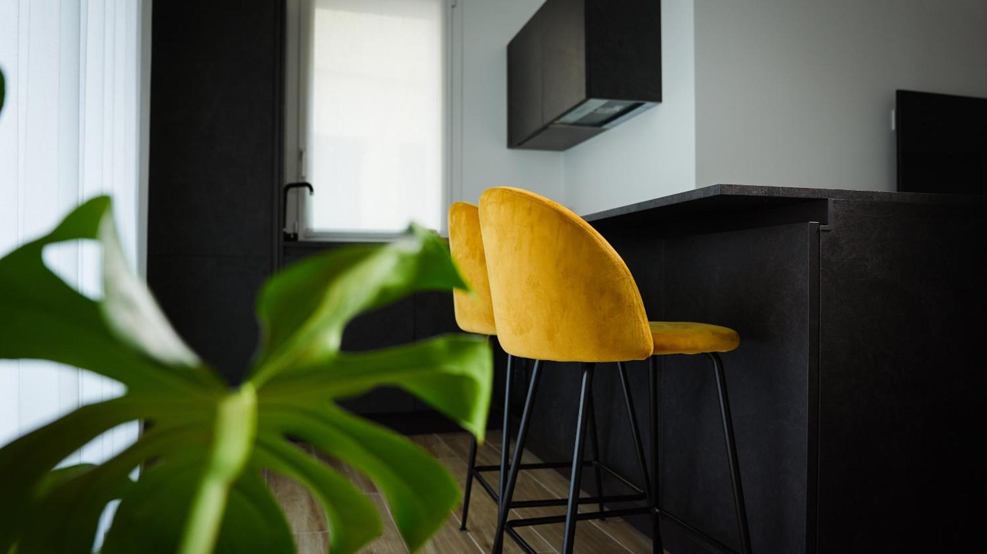 Palazzo Gilberto Apartment Padova Luaran gambar